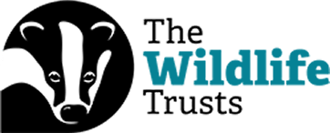 The Wildlife Trusts