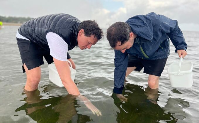Meaningful Planet founders Nick Falkowski and Richard West harvesting seagrass in the Solent