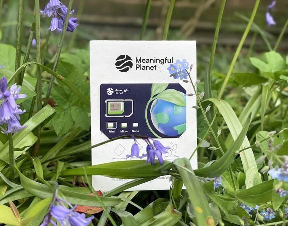 Meaningful Planet SIM in biodegradable seed-paper packaging, nestled in bluebells
