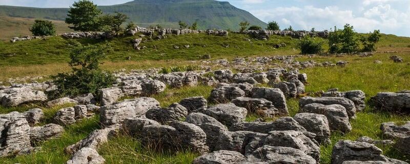 Limestone pavement and Ingleborough, North Yorkshire