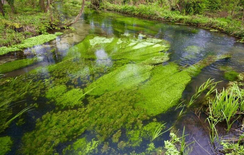 Chalk streams in Hampshire