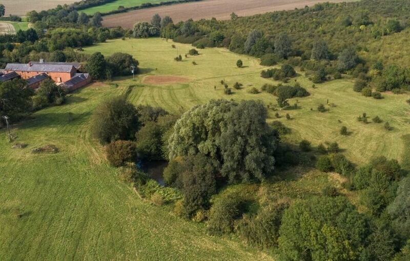 Strawberry Hill site reclaimed by nature